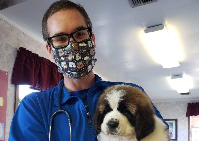 The Veterinary Clinics, Berlin Berlin veterinarians